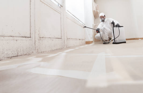 24/7 Emergency Crawl Space Mold Removal experts in Jacksonville, FL